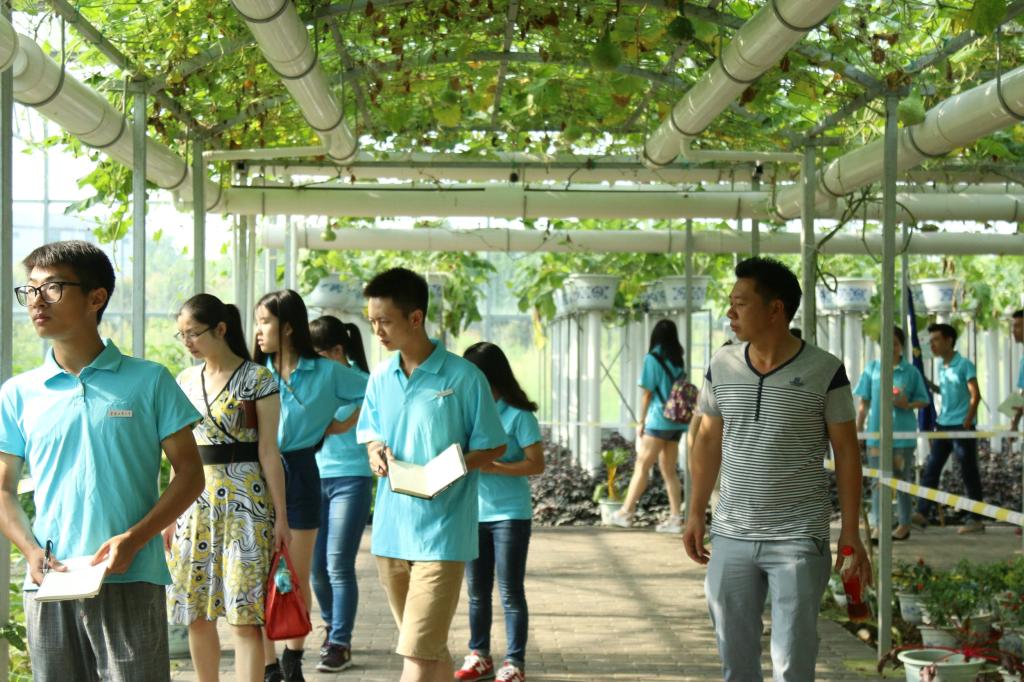 调研绿蔬菜博览园